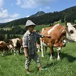 Farm 