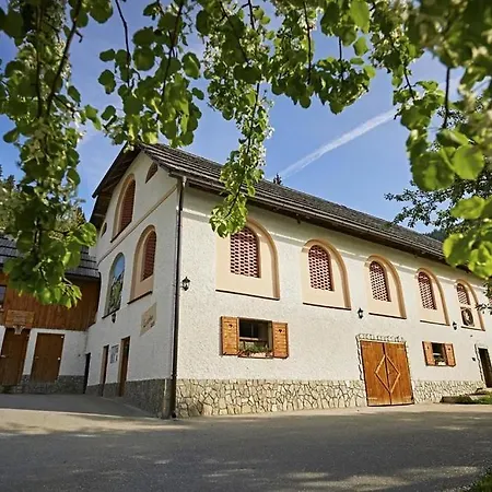 Séjour à la ferme Farm 