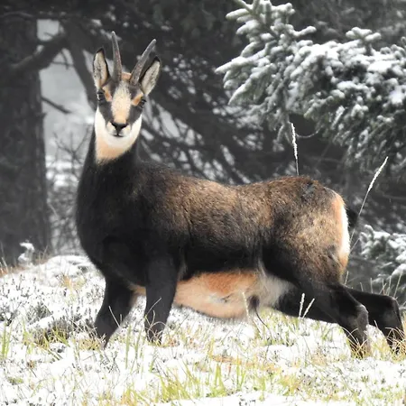 Séjour à la ferme Farm 