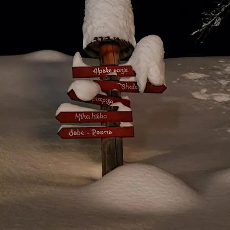 Séjour à la ferme Farm 