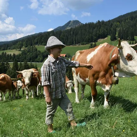 Farm 