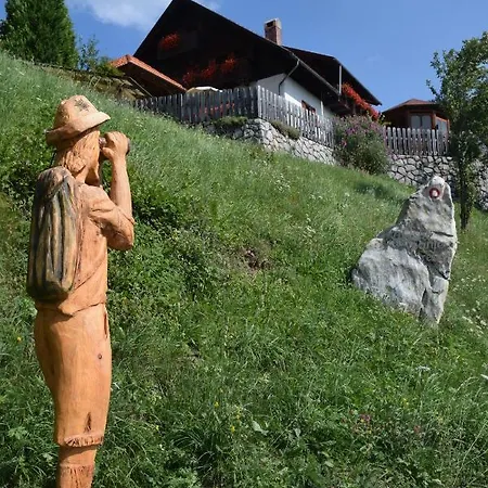 Séjour à la ferme Farm 