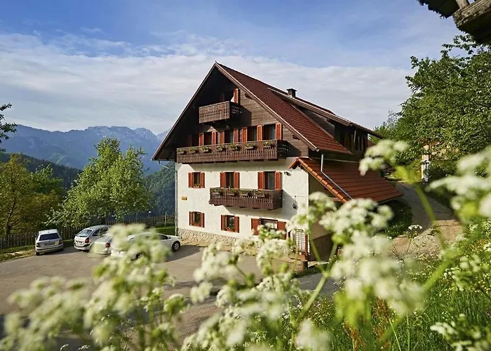 Bivanje na kmetiji Farm 